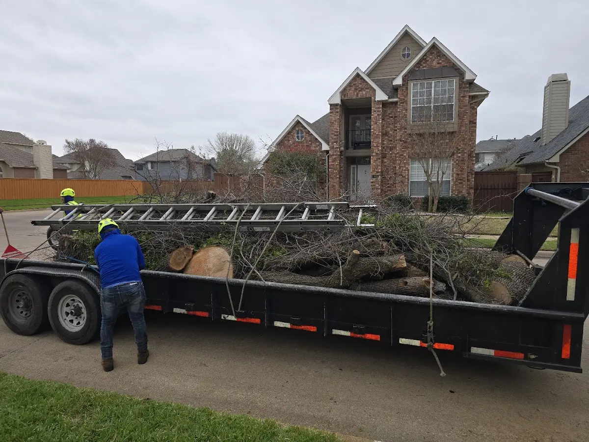 Expert Lot Clearing with proper safety equipment in Polk
